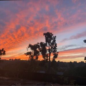 Meet your Posher, Maggie